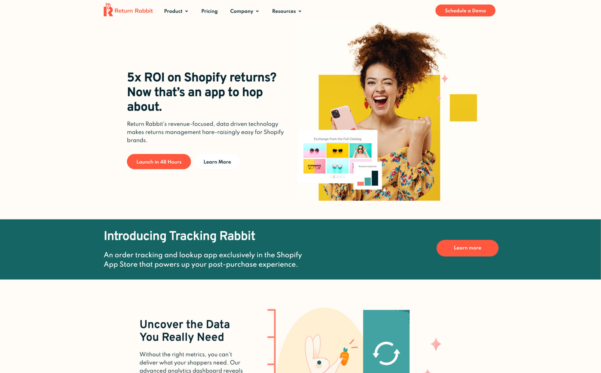 return-rabbit-design-web return rabbit design web