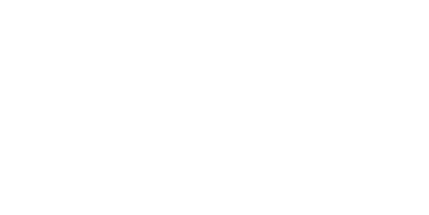 DeVooght House Lifters