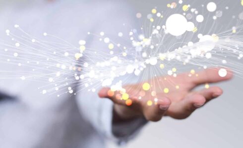 Learn the Basics of Information Architecture for Website Organization Effectively Information Architecture