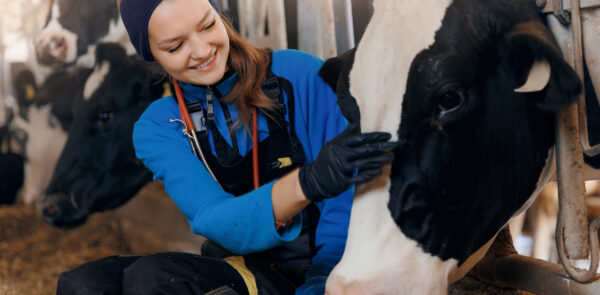 Local Seo And Google Maps Strategies For Animal Health Veterinary Biopharma Firms Scaled 1