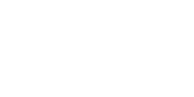 camargo project