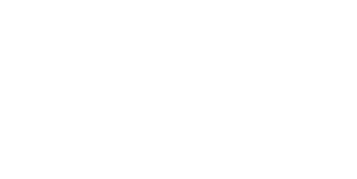 premier consulting