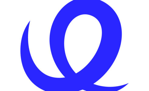 small linchpin logo 100
